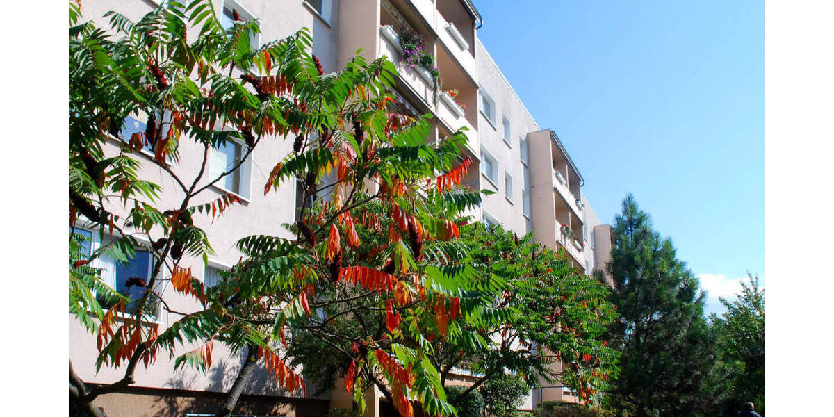 Etagenwohnung Jena / Lobeda Lobeda - 1 Zimmer, 32 m&sup2;, 92.000&euro; | Angebot:26217573