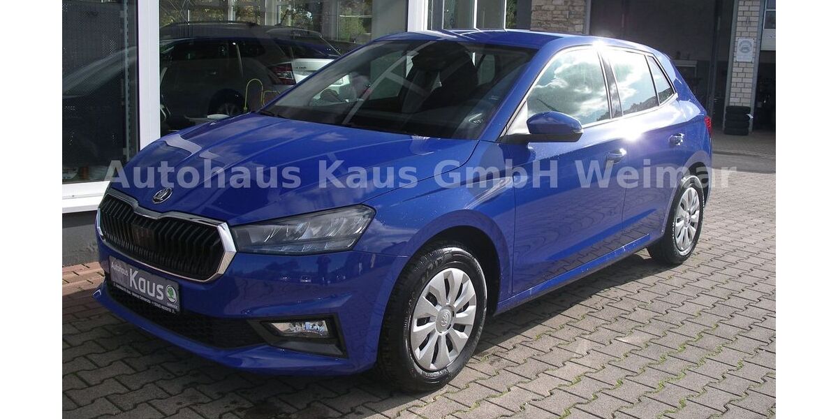 Skoda Fabia 2.800 km 17.790 &euro; Gelmeroda 99428
