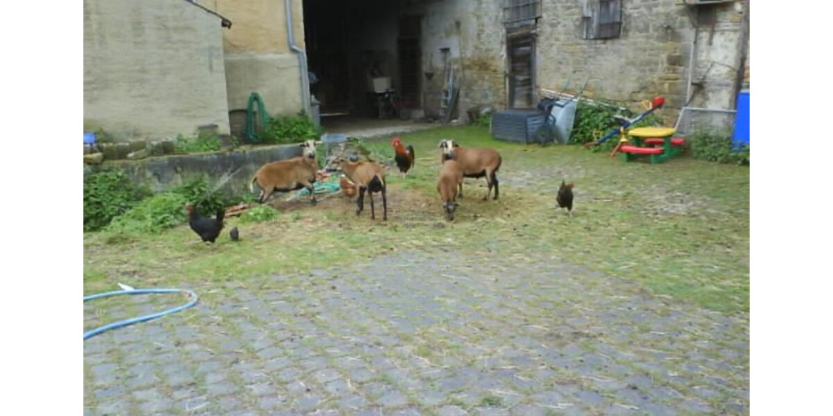 Bauernhaus, Landhaus Buttstädt - 14 Zimmer, 230 m&sup2;, 78.500&euro; | Angebot:23794271