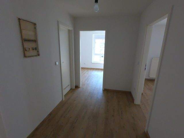 Etagenwohnung Erfurt Krämpfervorstadt - 4 Zimmer, 122 m&sup2;, 1.300&euro; | Angebot:25878549
