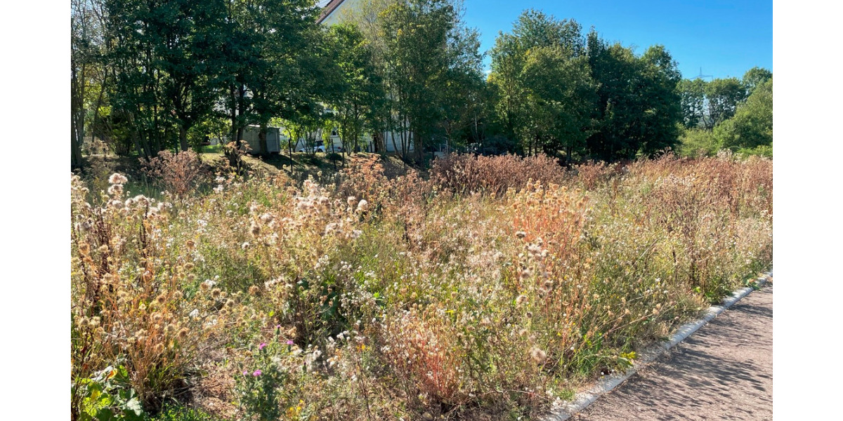 Einfamilienhaus Magdala - 5 Zimmer, 140 m&sup2;, 383.750&euro; | Angebot:25851604