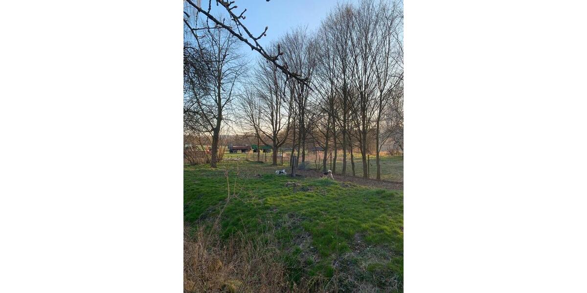 Einfamilienhaus Stadtilm - 300.000&euro; | Angebot:25333331