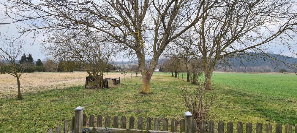 Einfamilienhaus in Alleinlage mit großem Grundstück - Einfamilienhaus Großeutersdorf | Angebot:26009999