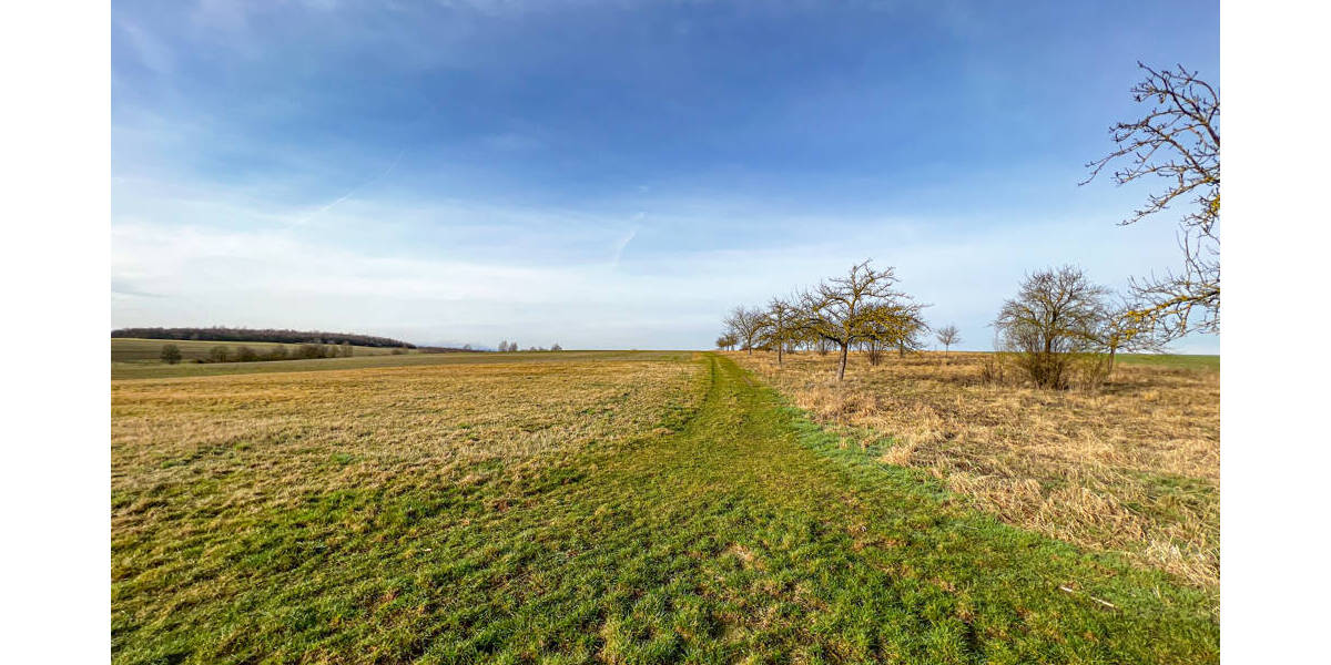 Grundstück Erfurt / Molsdorf Molsdorf - 207.200&euro; | Angebot:25728494