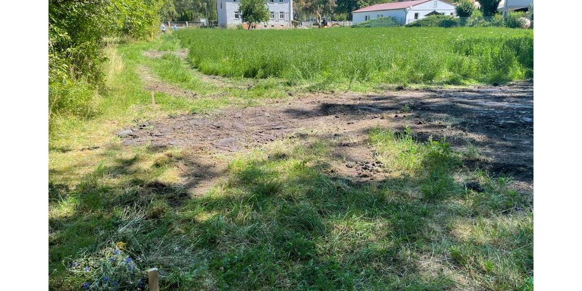 Mehrfamilienhaus, Wohnhaus Großrudestedt - 4 Zimmer, 125 m&sup2;, 390.810&euro; | Angebot:25987099