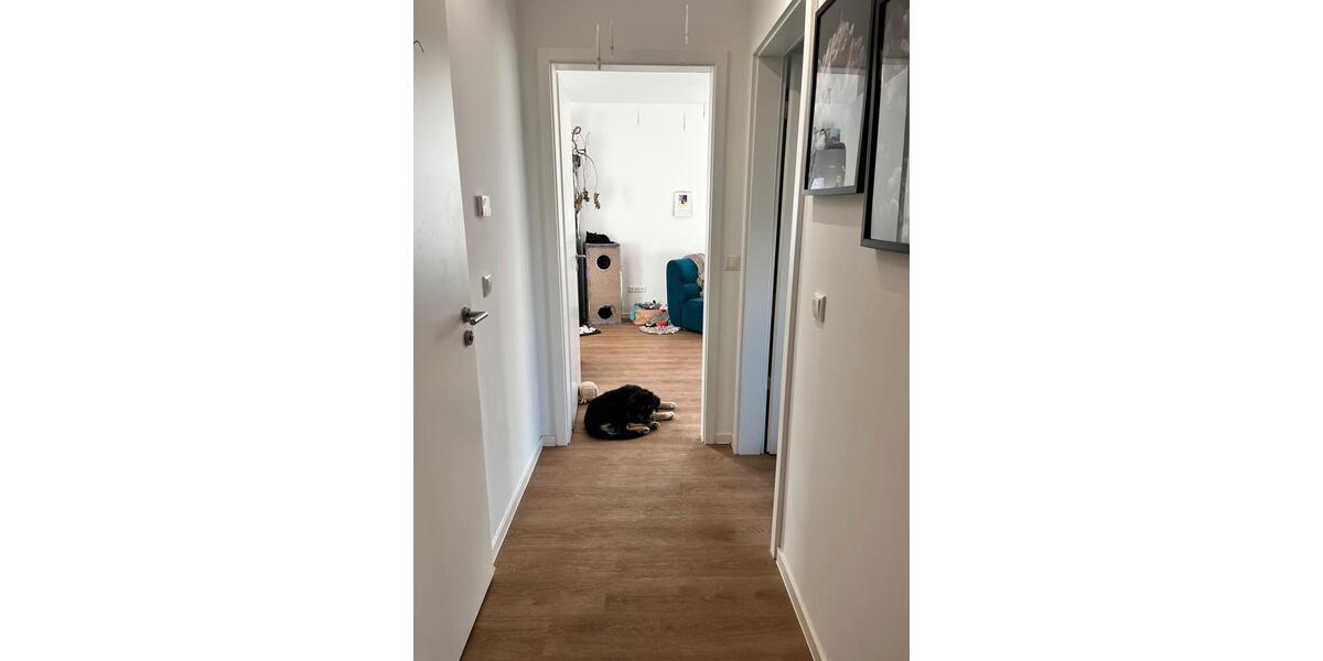 Erdgeschoßwohnung Erfurt Daberstedt - 2 Zimmer, 65 m&sup2;, 1.080&euro; | Angebot:25320266