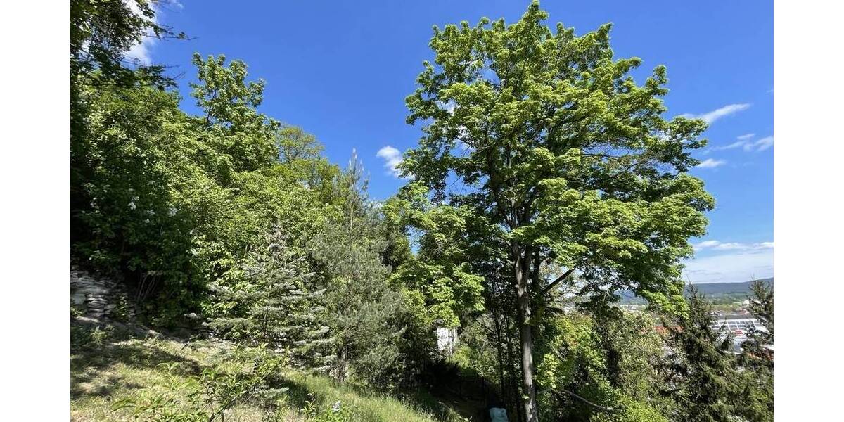 Einfamilienhaus Rudolstadt Nord - 89.000&euro; | Angebot:26730703