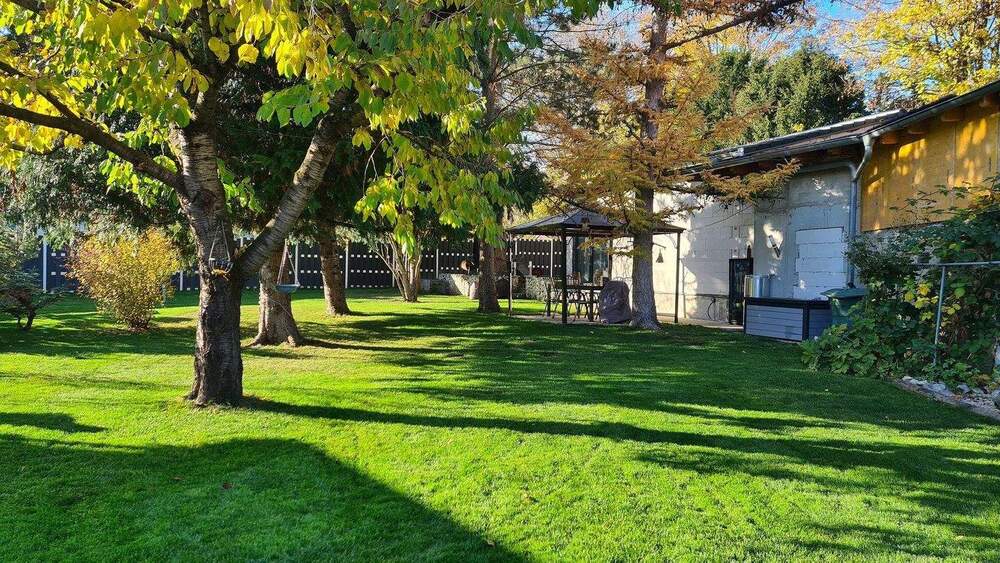 Einfamilienhaus Apolda - 1 Zimmer, 255 m&sup2;, 695.000&euro; | Angebot:25687297