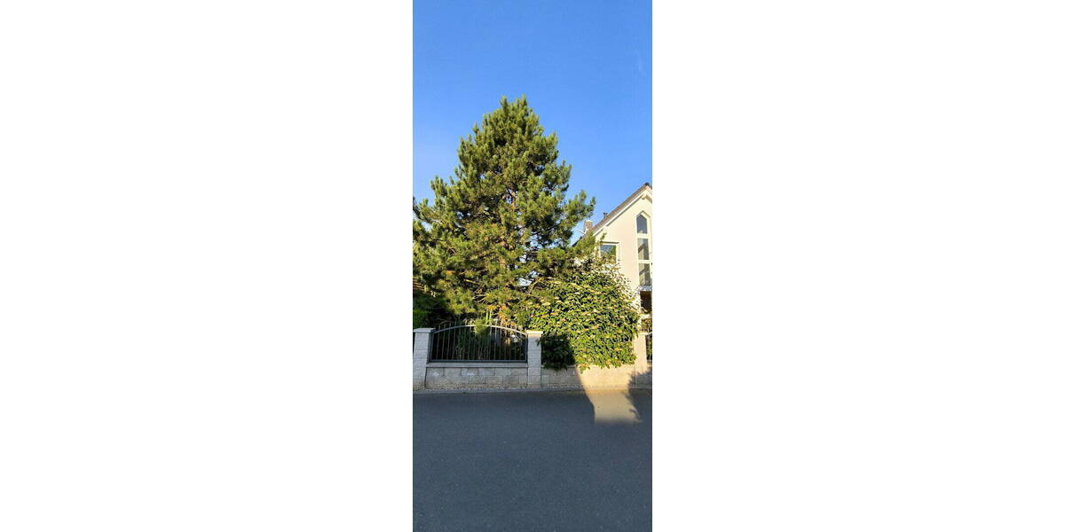 Einfamilienhaus Jena Ilmnitz - 5 Zimmer, 137 m&sup2;, 779.000&euro; | Angebot:26698996