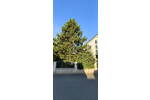 Einfamilienhaus Jena Ilmnitz - 5 Zimmer, 137 m&sup2;, 779.000&euro; | Angebot:26698996