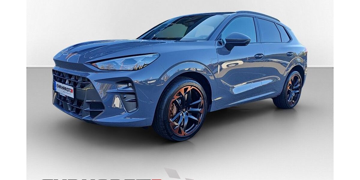 Cupra Terramar 8.500 km 43.490 &euro; Erfurt 99099