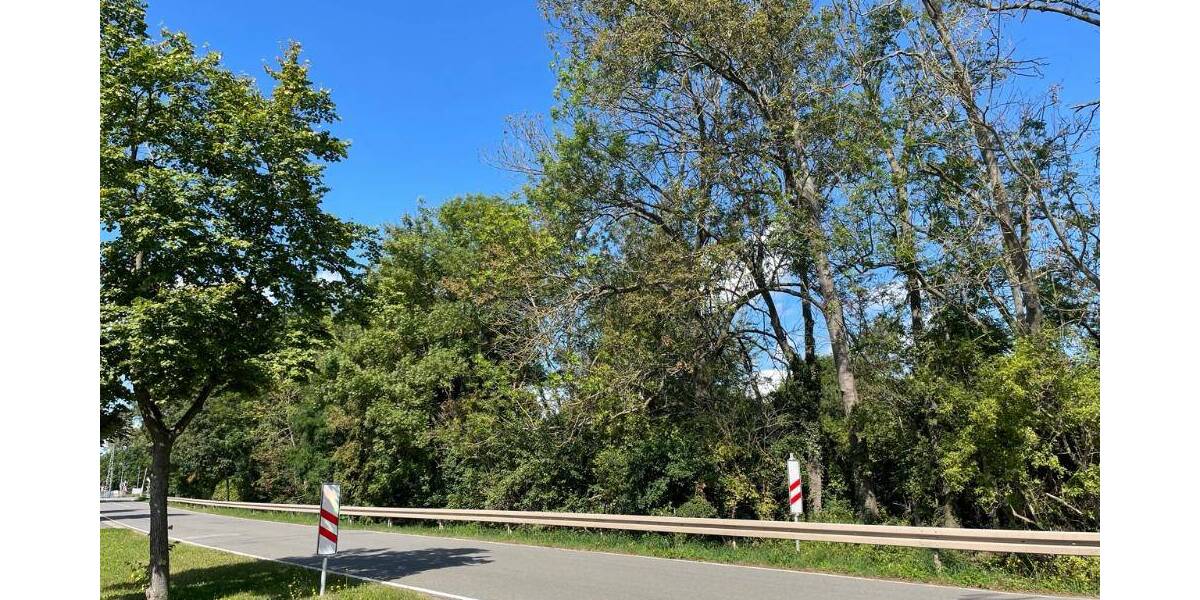 Einfamilienhaus Großrudestedt - 7 Zimmer, 183 m&sup2;, 611.400&euro; | Angebot:25780996