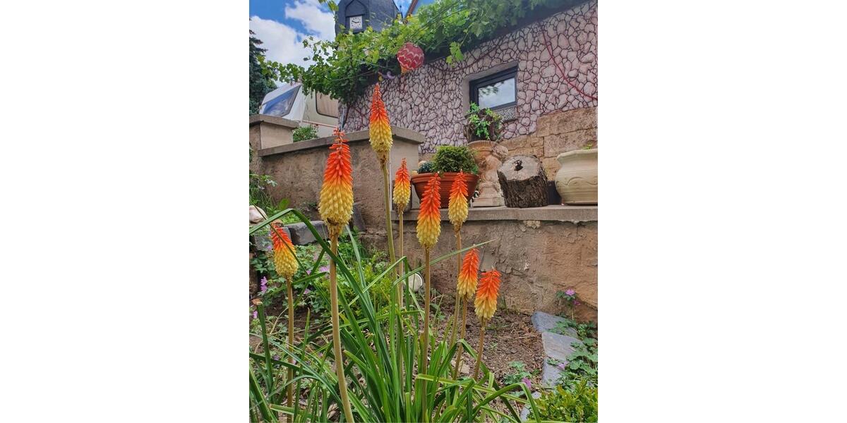 Einfamilienhaus Bad Sulza - 5 Zimmer, 113 m&sup2;, 75.000&euro; | Angebot:26149472