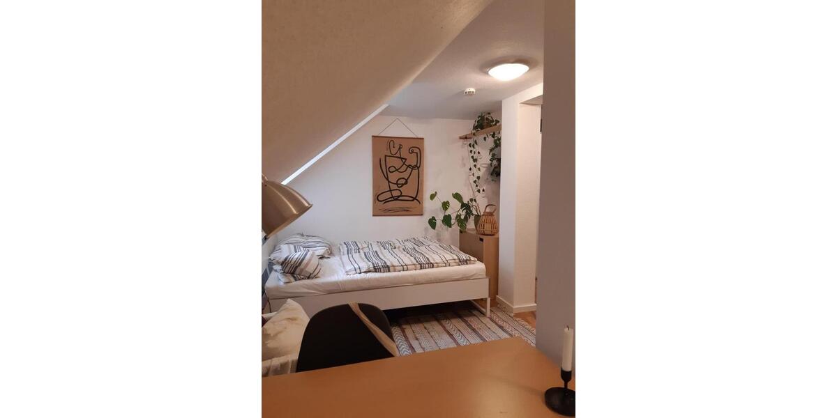 Dachgeschoßwohnung Jena - 1 Zimmer, 30 m&sup2;, 390&euro; | Angebot:26039592