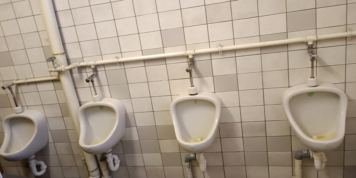 Buttstädt, Mehrgenerationenhaus - Mehrfamilienhaus, Wohnhaus Buttstädt | Angebot:21282281