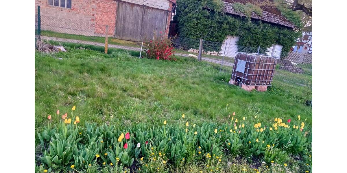 Grundstück Blankenhain - 6.200&euro; | Angebot:20269682