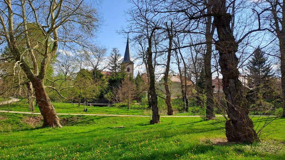 Erdgeschoßwohnung Erfurt Gispersleben - 2 Zimmer, 48 m&sup2;, 730&euro; | Angebot:26671682