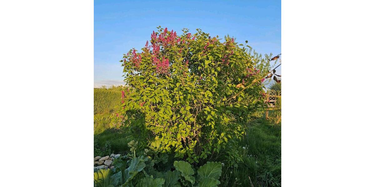 Grundstück Bad Berka - 6.500&euro; | Angebot:21461650