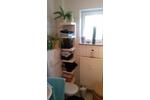 Etagenwohnung Erfurt Hochheim - 3 Zimmer, 87 m&sup2;, 957&euro; | Angebot:26566918