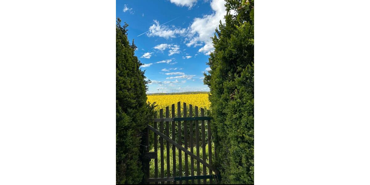 Doppelhaushälfte Erfurt Johannesplatz - 4 Zimmer, 115 m&sup2;, 66.000&euro; | Angebot:25258000