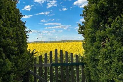 Haus Erfurt Johannesplatz - 4 Zimmer, 115 m&sup2;, 66.000&euro; | Angebot:25258000