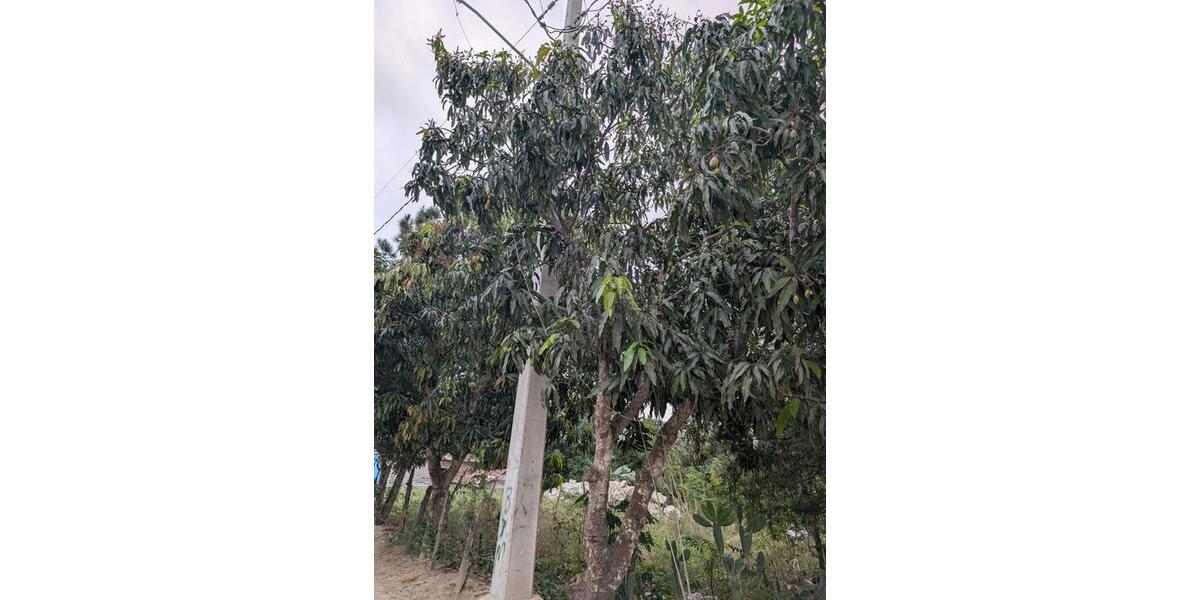 Einfamilienhaus Erfurt Hochheim - 28.500&euro; | Angebot:25830338