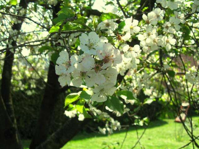 Grundstück Kölleda - 55.269&euro; | Angebot:19969497