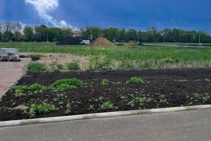 Grundstück Schloßvippach Dielsdorf - 135.000&euro; | Angebot:26741989