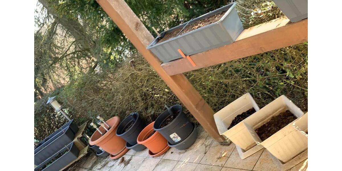 Einfamilienhaus Erfurt Hochheim - 1 Zimmer, 80 m&sup2;, 45.000&euro; | Angebot:20544802