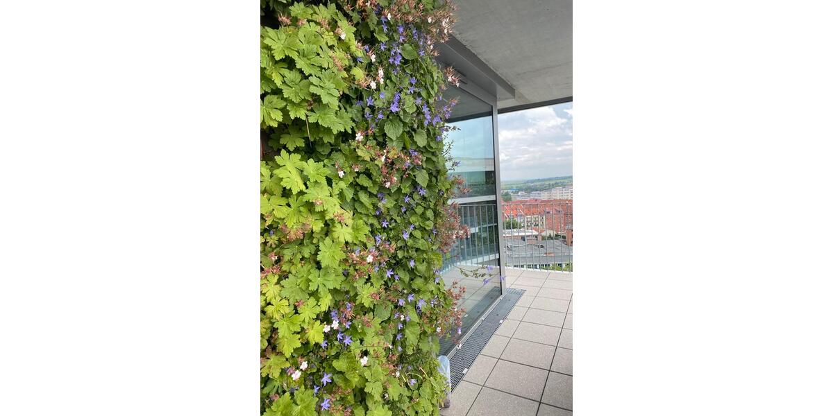 Etagenwohnung Erfurt - 4 Zimmer, 120 m&sup2;, 933&euro; | Angebot:25805244