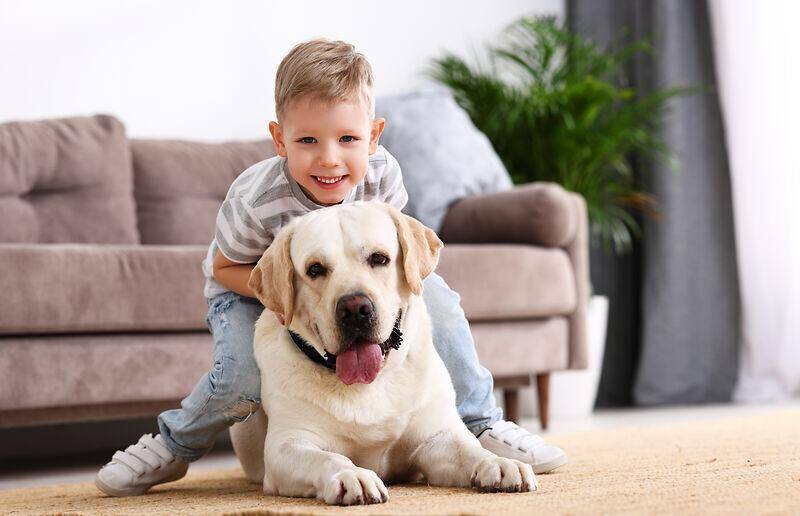 Einfamilienhaus Apolda - 4 Zimmer, 126 m&sup2;, 358.016&euro; | Angebot:25781006