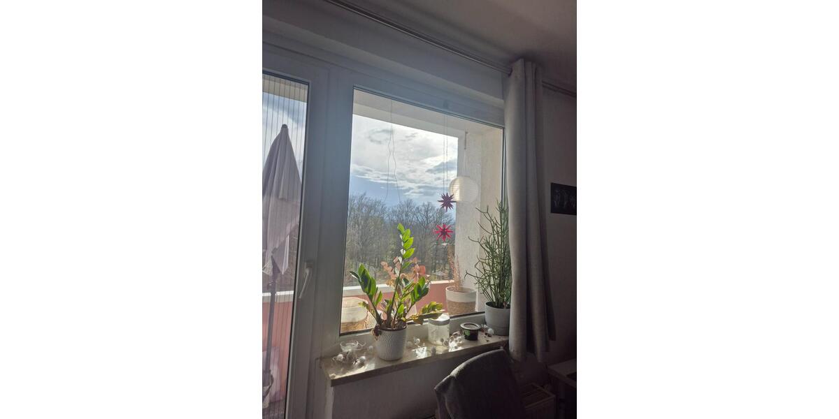 Etagenwohnung Jena Lobeda-Altstadt - 1 Zimmer, 16 m&sup2;, 300&euro; | Angebot:25902657