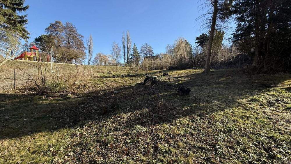 Einfamilienhaus Finne Billroda - 3 Zimmer, 98 m&sup2;, 65.000&euro; | Angebot:25676785