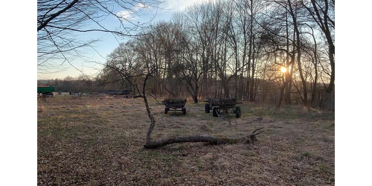 Einfamilienhaus Stadtilm - 300.000&euro; | Angebot:25333331