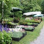 Pflanzenraritätenbörse