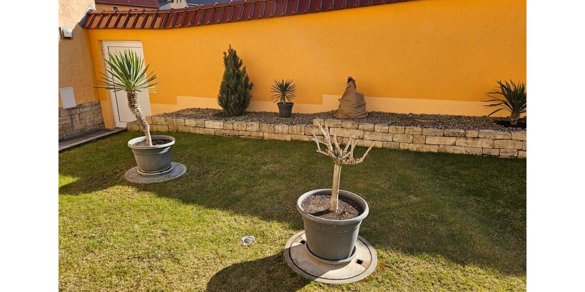 Einfamilienhaus Lanitz-Hassel-Tal Tal - 79.000&euro; | Angebot:26055794